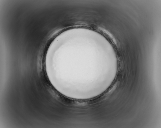 X0000086911407200705141653