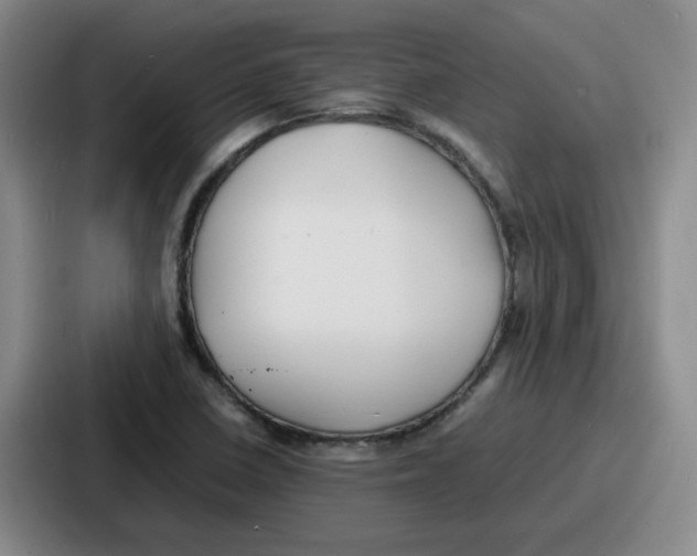 X0000086911410200705141653