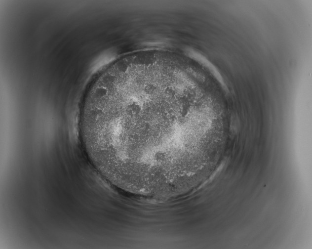 X0000086911411200705141653