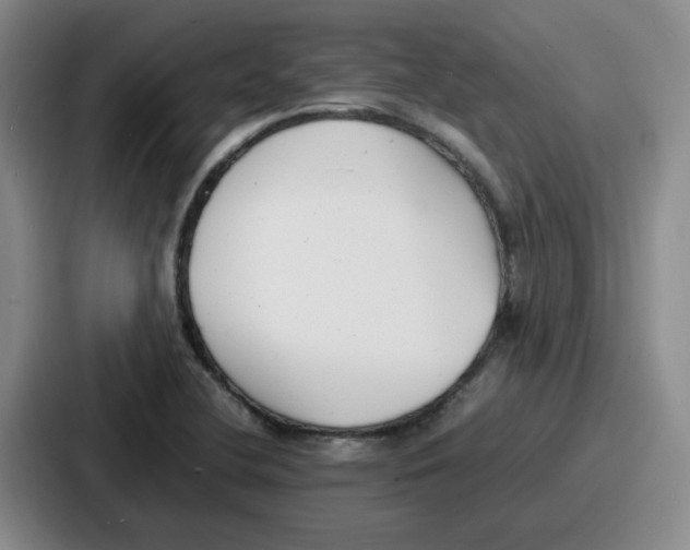 X0000086911412200705141653