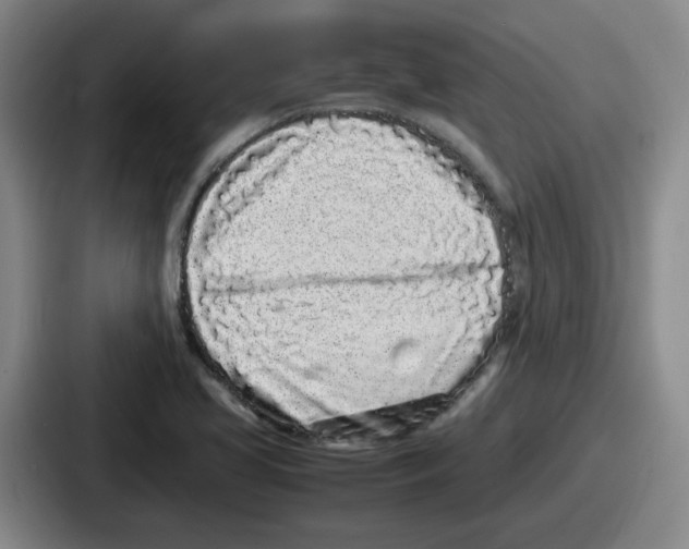 X0000086911413200705141653