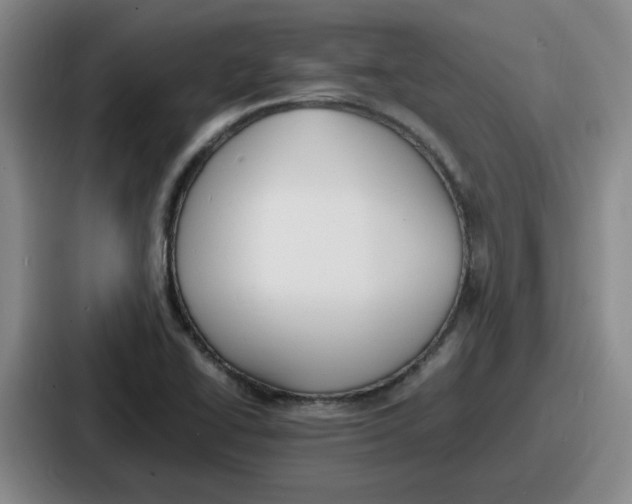 X0000086911414200705141653