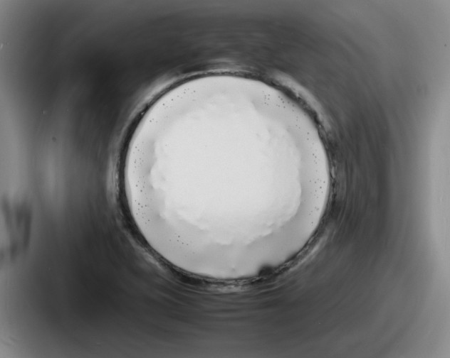 X0000086911415200705141653