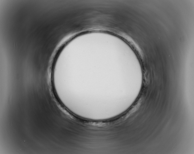 X0000086911416200705141653