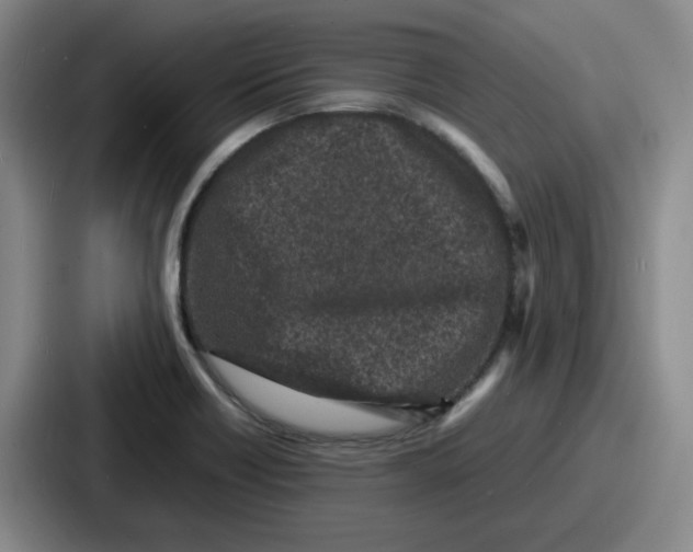 X0000086911418200705141653