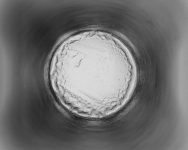 X0000086911421200705141653