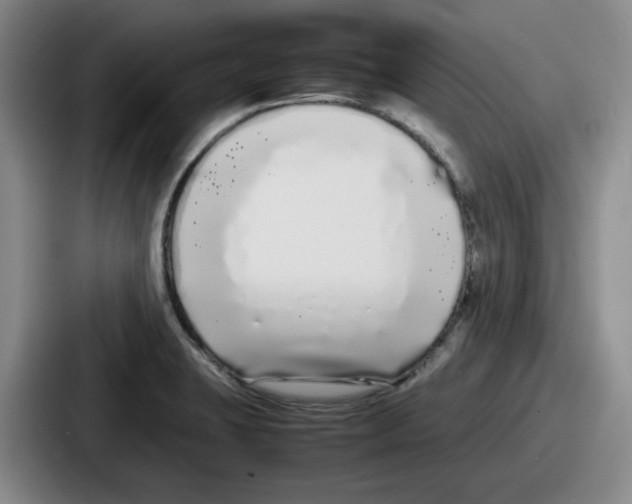 X0000086911423200705141653