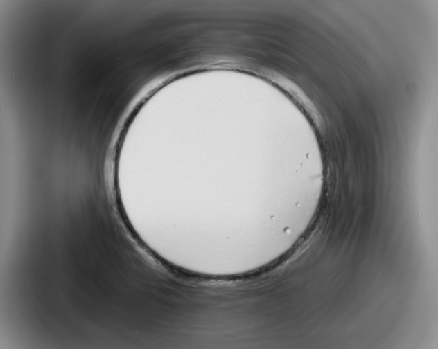 X0000086911424200705141653