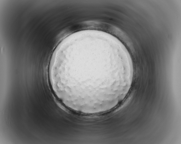 X0000086911425200705141653