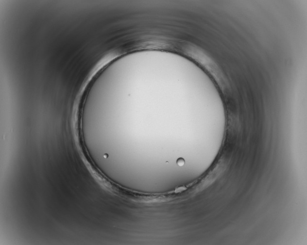 X0000086911426200705141653