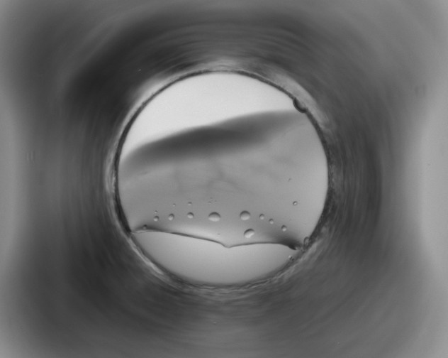 X0000086911428200705141653