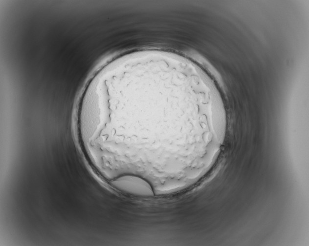 X0000086911429200705141653