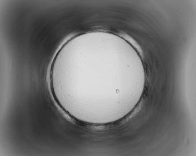 X0000086911431200705141653