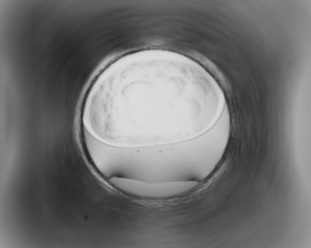 X0000086911432200705141653