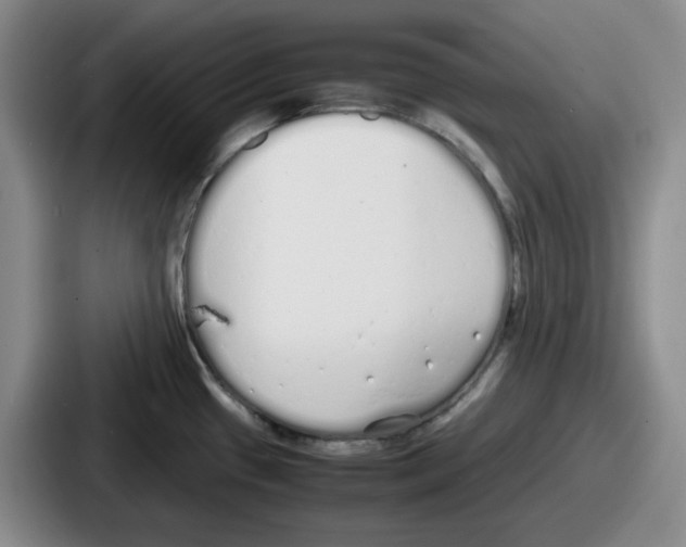 X0000086911433200705141653