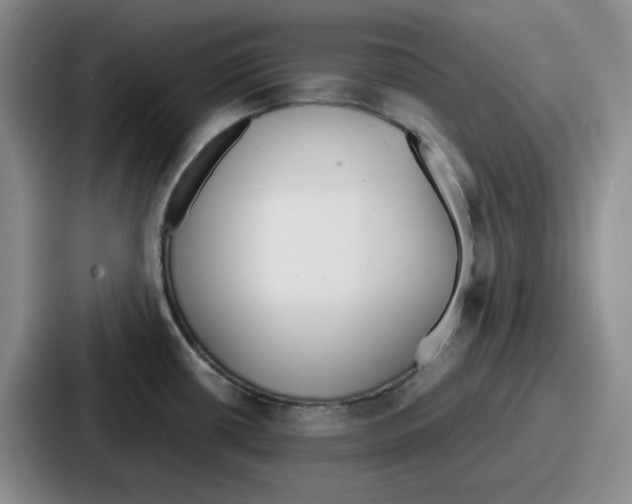 X0000086911434200705141653