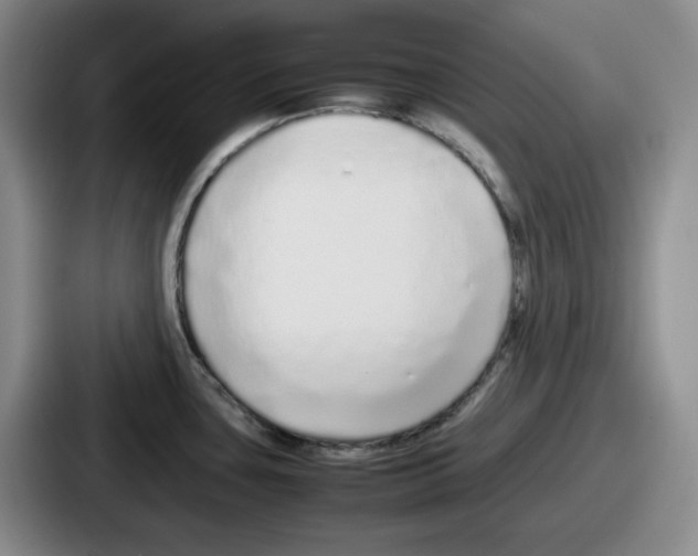 X0000086911435200705141653