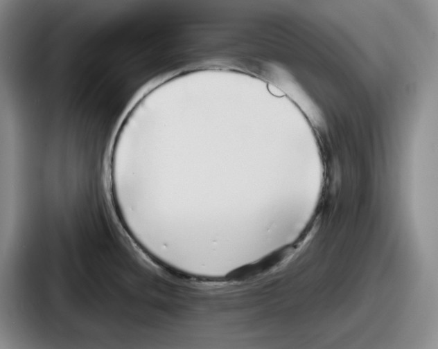 X0000086911436200705141653