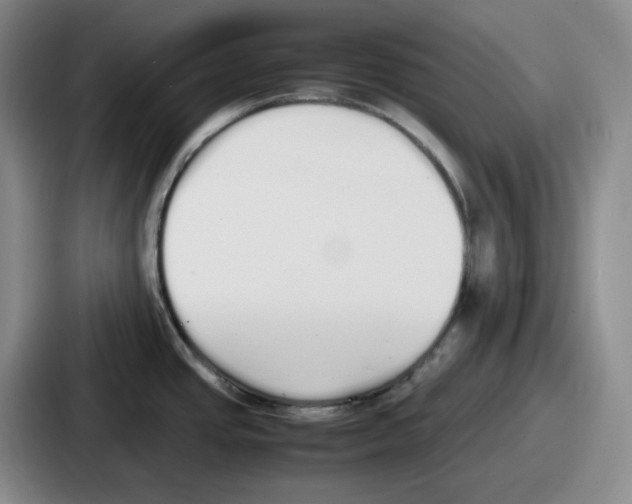 X0000086911437200705141653