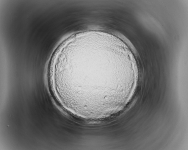 X0000086911439200705141654