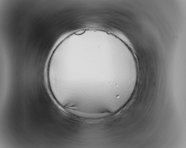 X0000086911440200705141654