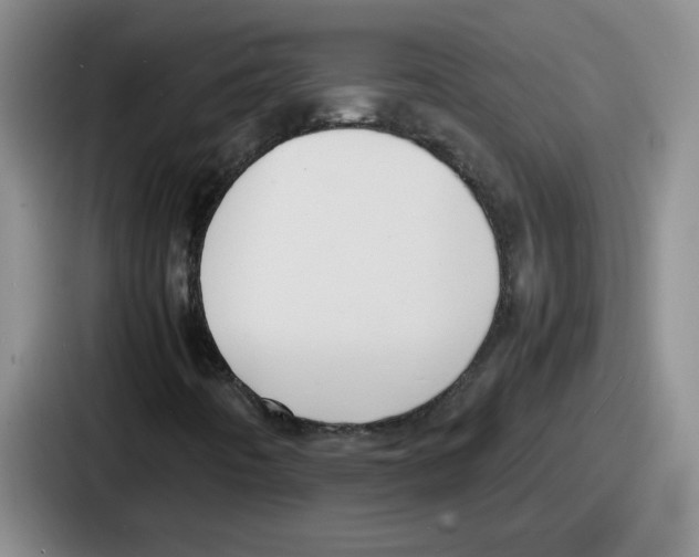 X0000086911442200705141653