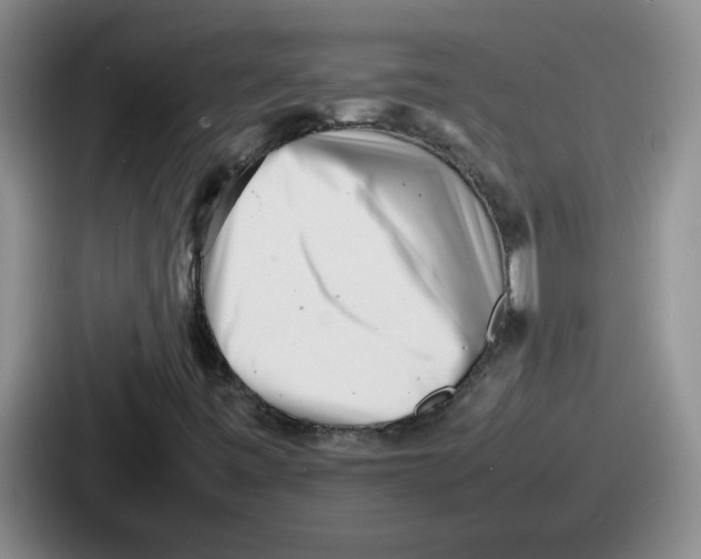 X0000086911443200705141653