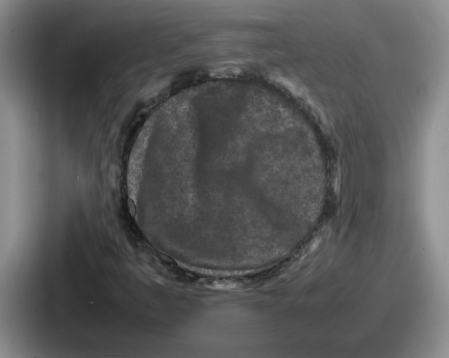 X0000086911445200705141653