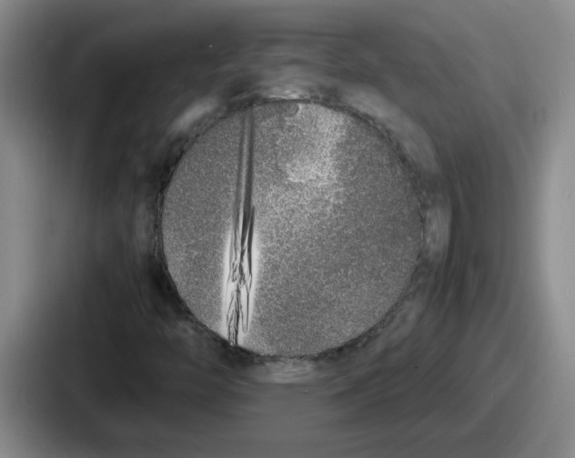 X0000086911446200705141653