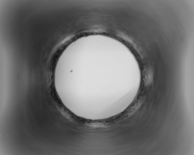 X0000086911448200705141653