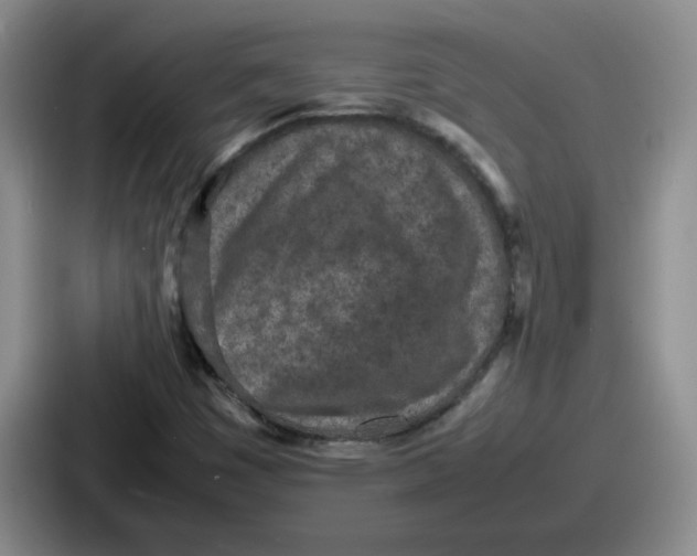 X0000086911449200705141653