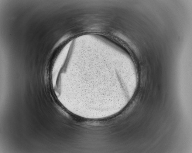 X0000086911450200705141653