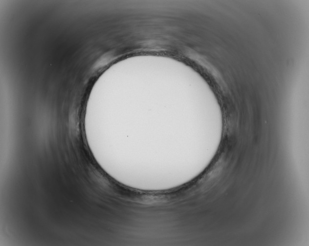 X0000086911451200705141653