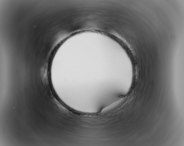 X0000086911452200705141653