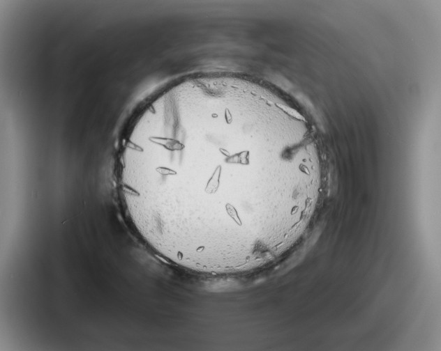 X0000086911454200705141653