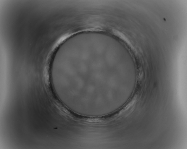 X0000086911455200705141653