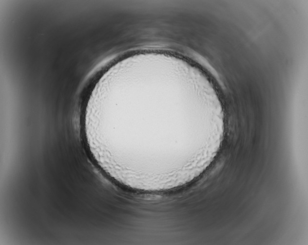 X0000086911456200705141653