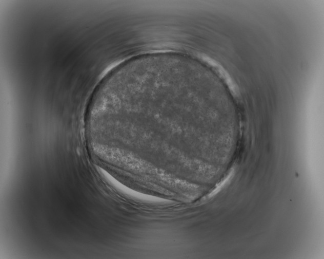 X0000086911457200705141653