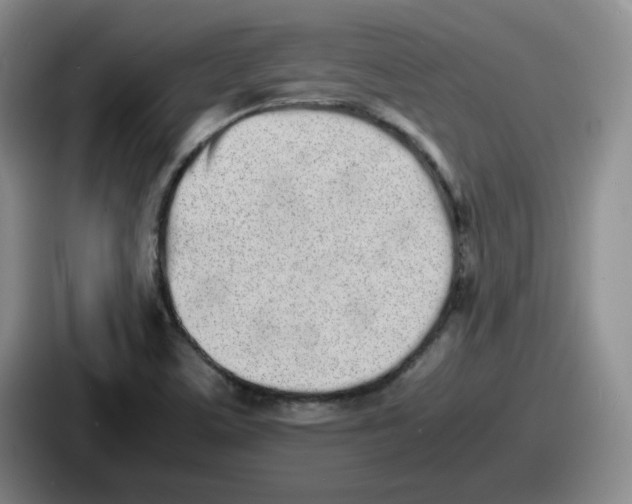 X0000086911459200705141653