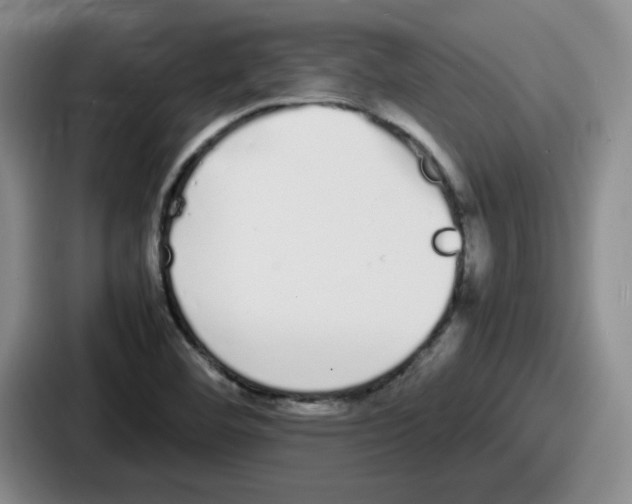 X0000086911460200705141653