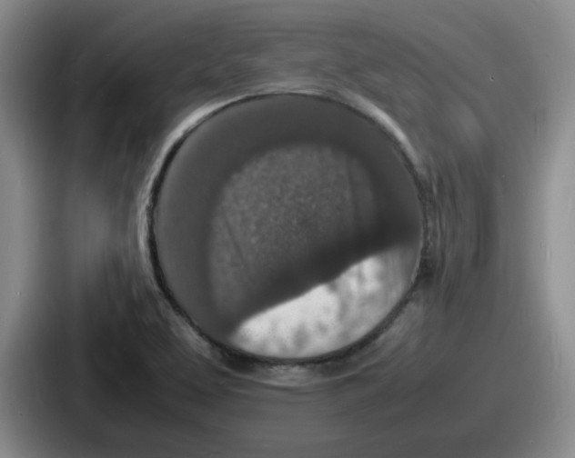 X0000086911463200705141653