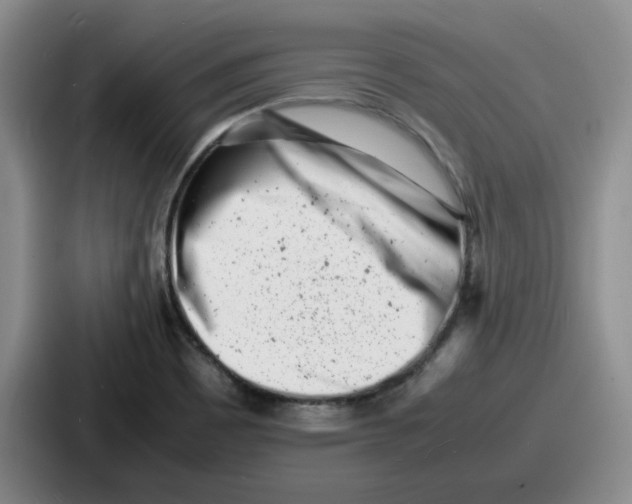 X0000086911465200705141653