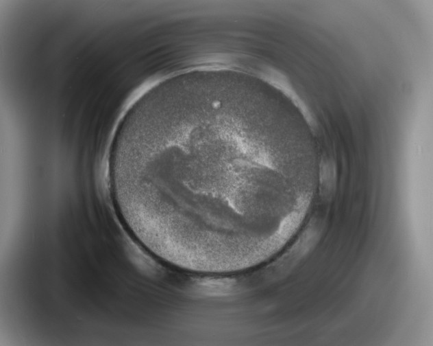 X0000086911466200705141653