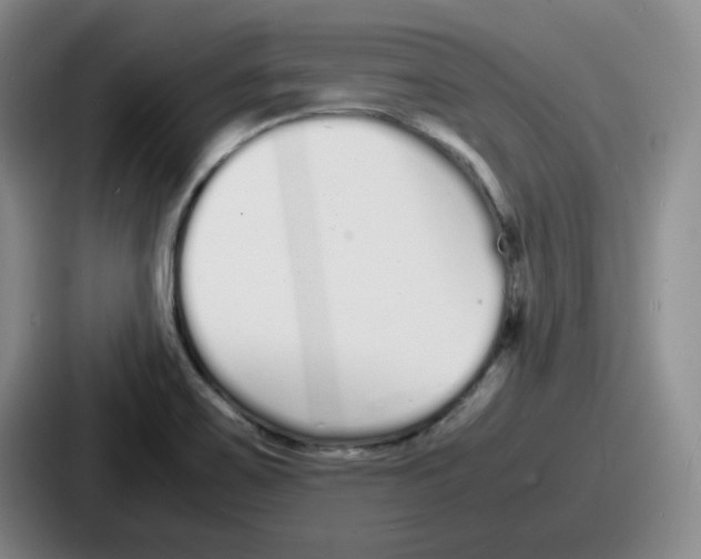 X0000086911467200705141653