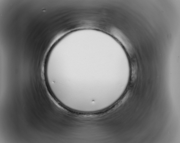 X0000086911468200705141653