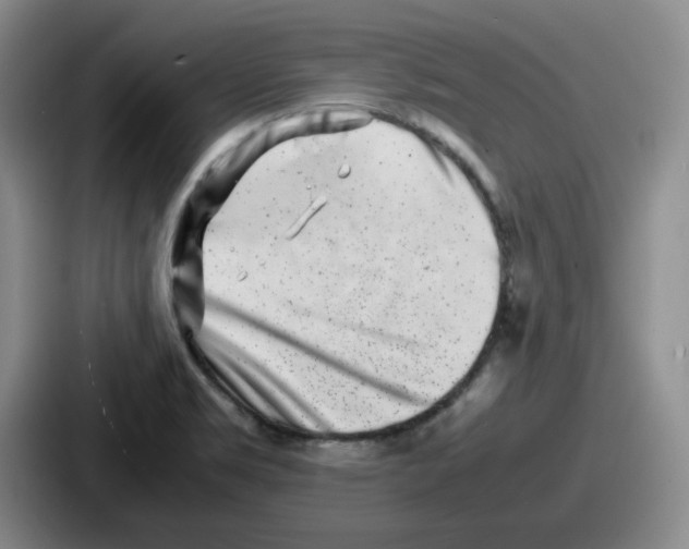 X0000086911469200705141653