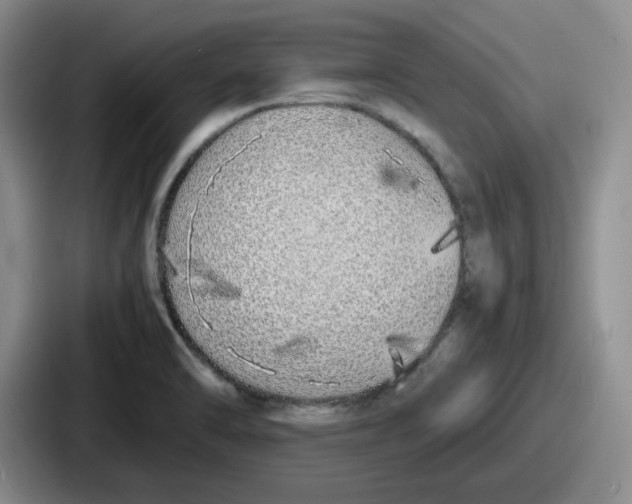 X0000086911470200705141653