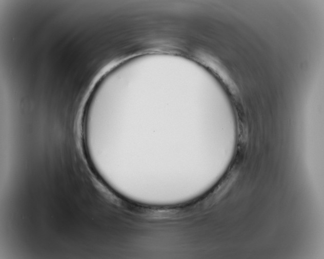 X0000086911471200705141653