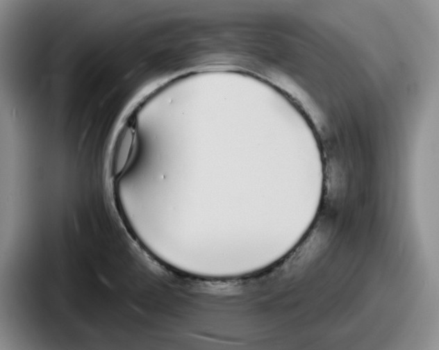 X0000086911472200705141653