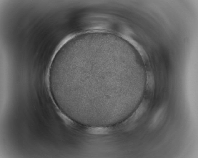 X0000086911474200705141652